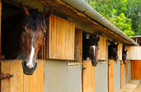 free Great Chesterford stable construction quotes